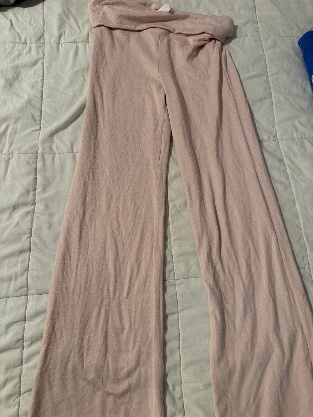 Hollister pants